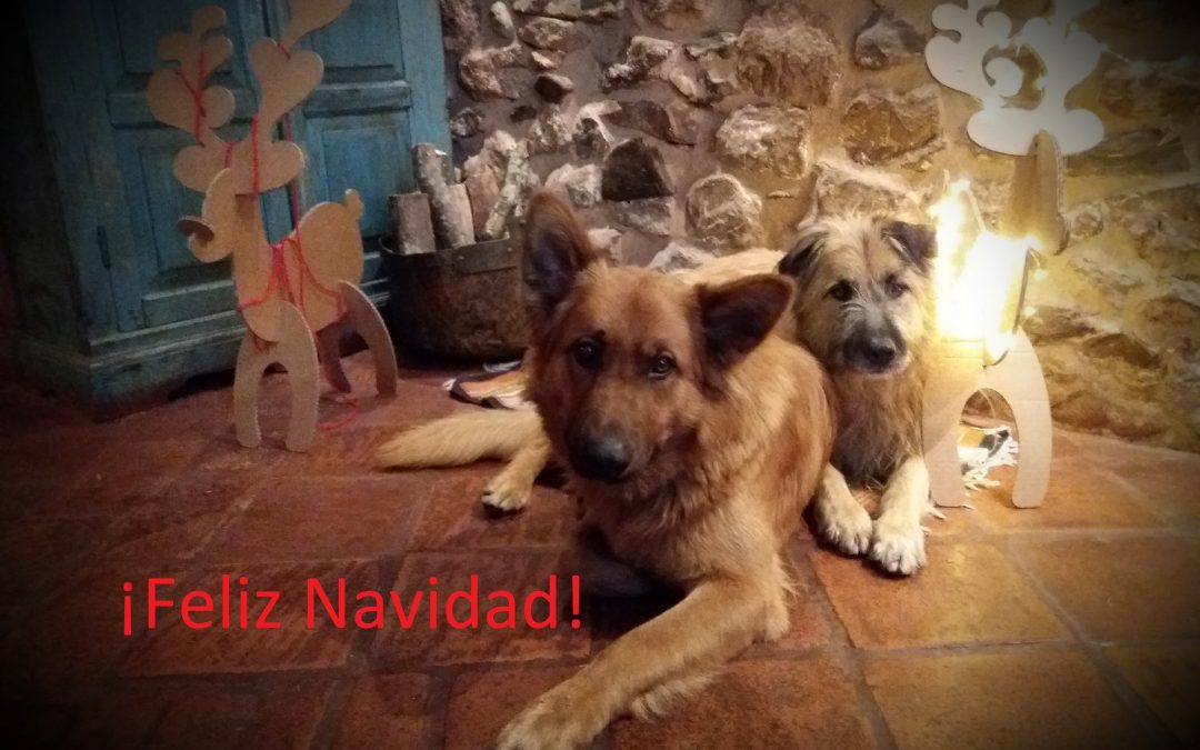 Feliz Navidad 2018 desde La Casona del Pastor