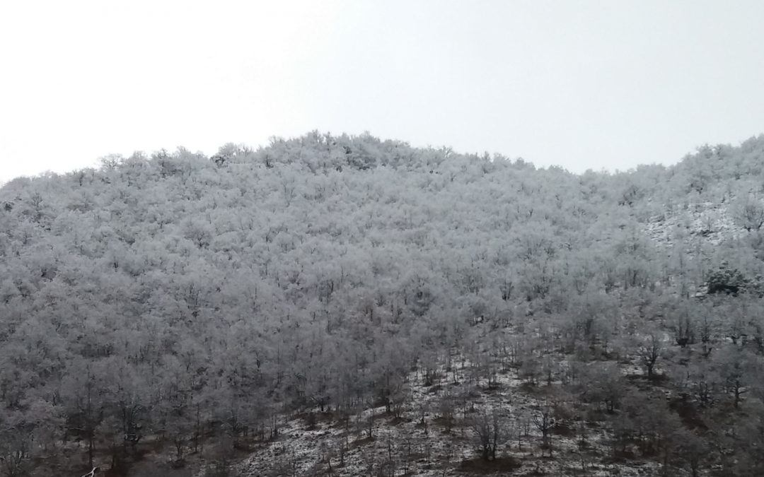 Nieve en el valle y pistas de Valdezcaray abiertas!