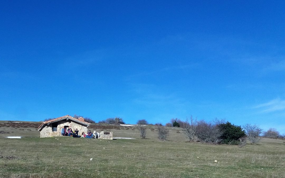 Sol de invierno en el valle de Ezcaray, buenos amigos y asado…