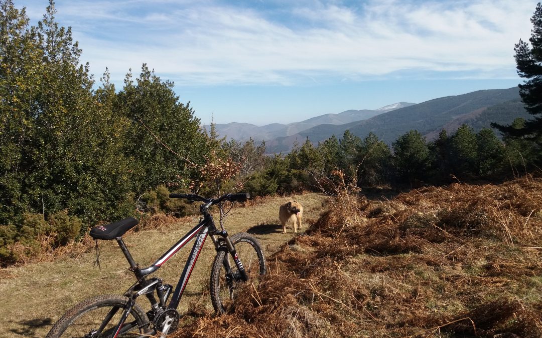 Hayedos, acebales, pinares, mountain bike, buena compañía y mejor comida y bebida… Todo sin salir de Valgañón, en el Valle de Ezcaray.